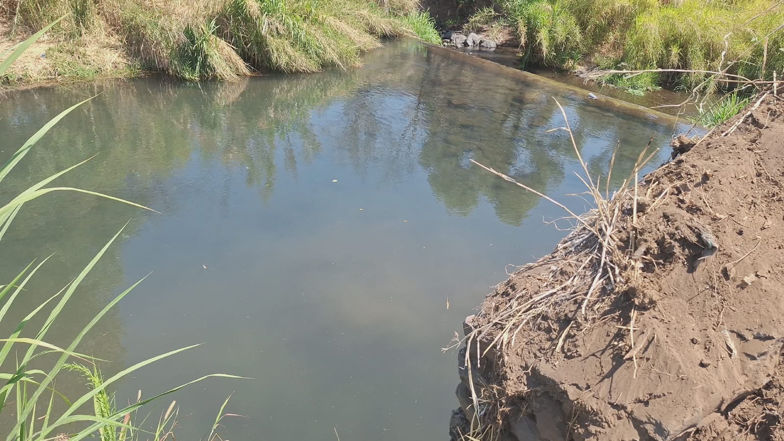 Chiapaneco muere ahogado en una presa de Los Reyes