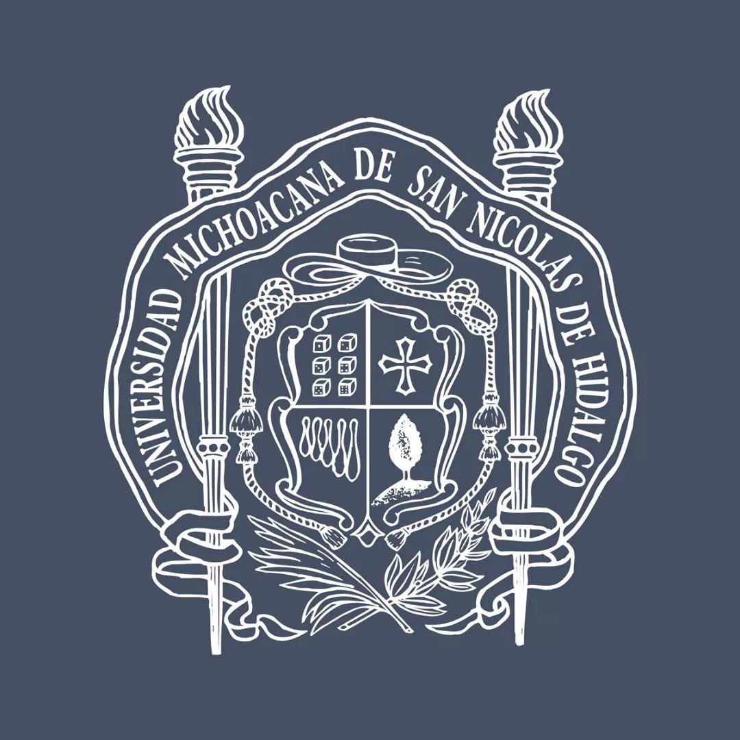 PLATAFORMAS DE LA UMSNH HAN SUFRIDO ATAQUES CIBERNÉTICOS