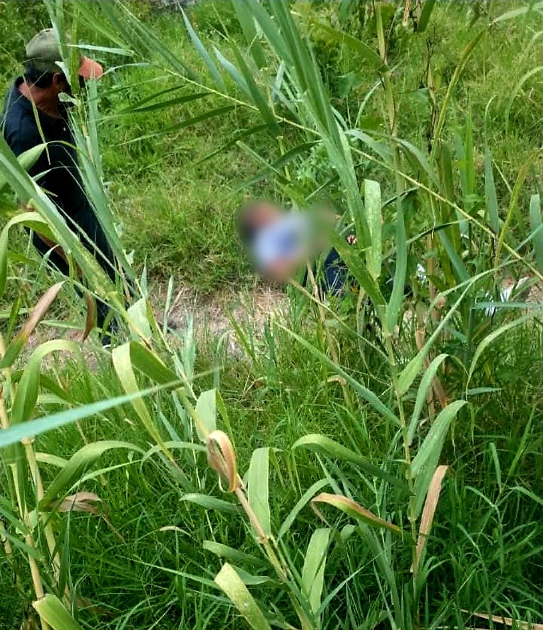 Mujer es atacada por una jauría de perros en la colonia El Arenal de Uruapan 