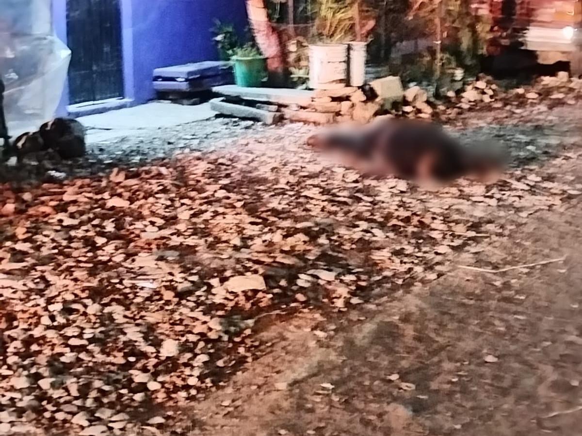 A balazos matan a un sujeto en la colonia Jacarandas de Zamora