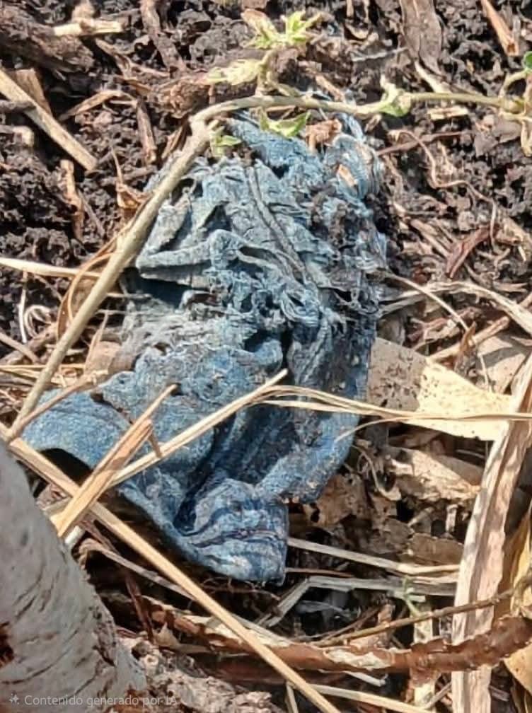 Localizan al menos 6 osamentas en predios de Jacona, durante los últimos días