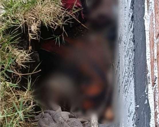 Hallan cadáver en avanzado estado de descomposición en pleno centro de Jacona