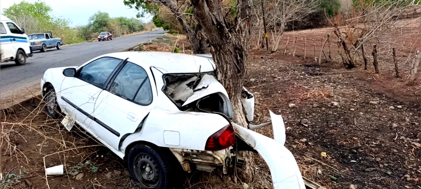 Automovilista queda herido tras chocar contra árbol en la Huetamo-San Lucas
