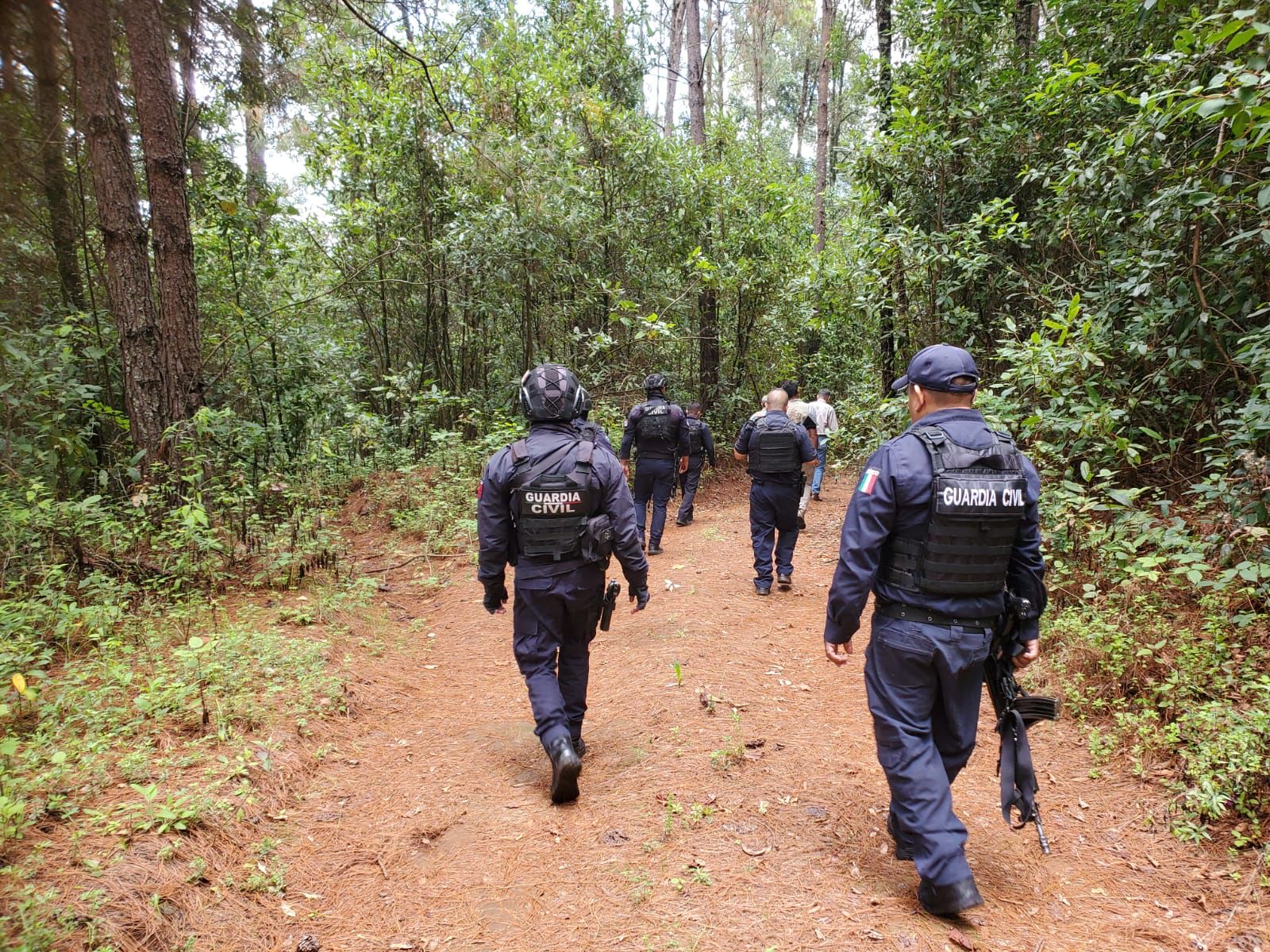 SSP fortalece acciones operativas para prevenir tala clandestina y cambio de uso de suelo