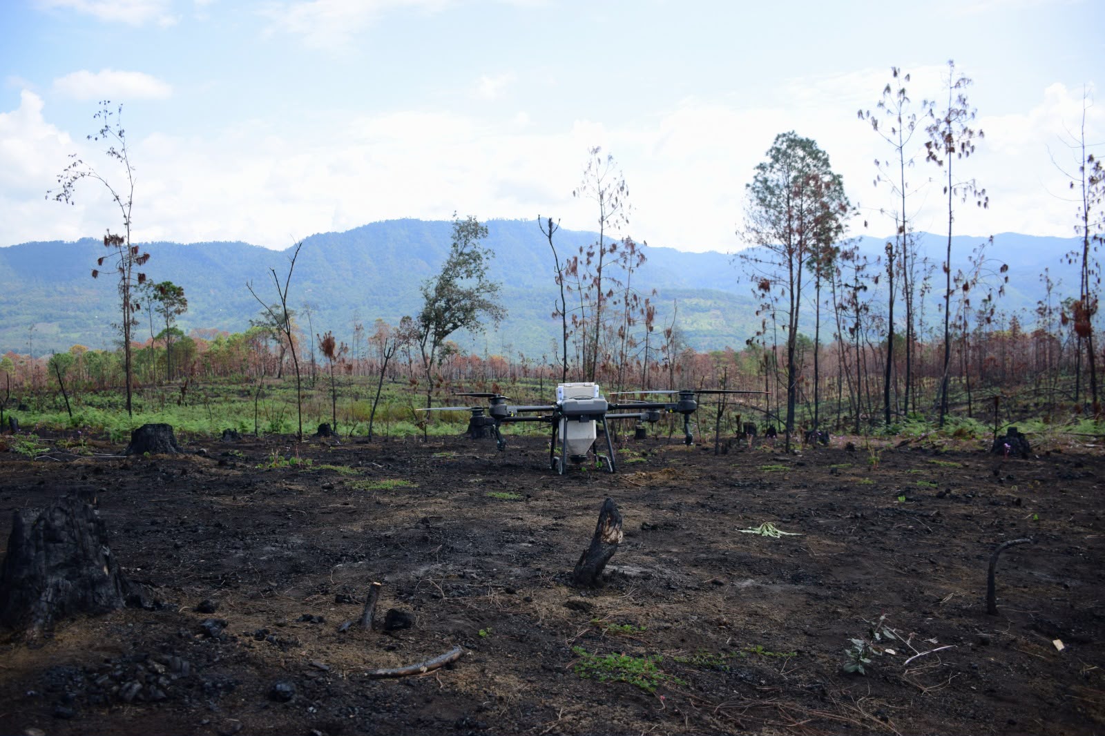Drones reforestan las zonas más inaccesibles de Michoacán con programa Bio Renace