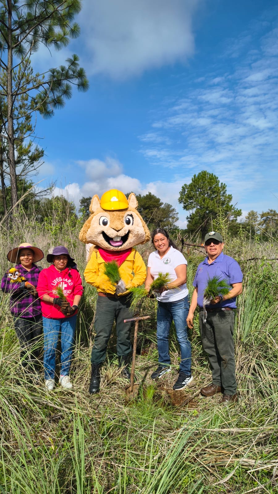 Michoacán entidad se suma al Evento de Reforestación Nacional 2026 con acciones de restauración y participación comunitaria