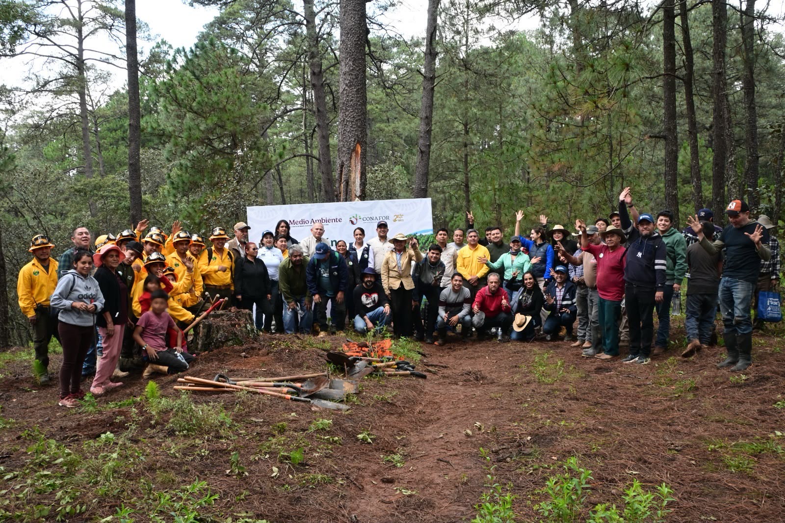 Gobierno de Morelia fortalece la recuperación de los bosques con jornada de reforestación