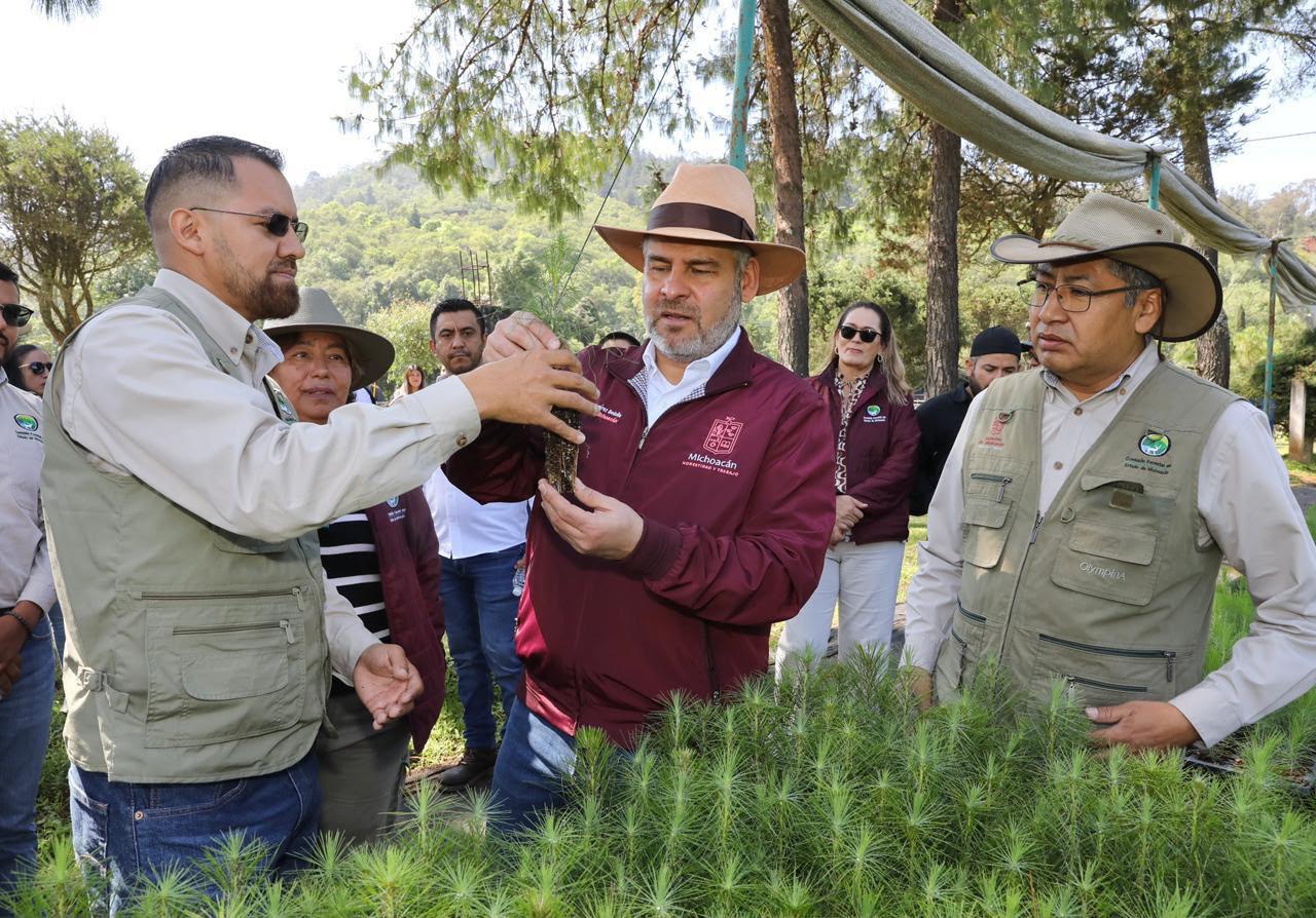 Estrategia ambiental de Michoacán sumará histórico de 50 millones de árboles reforestados: Bedolla