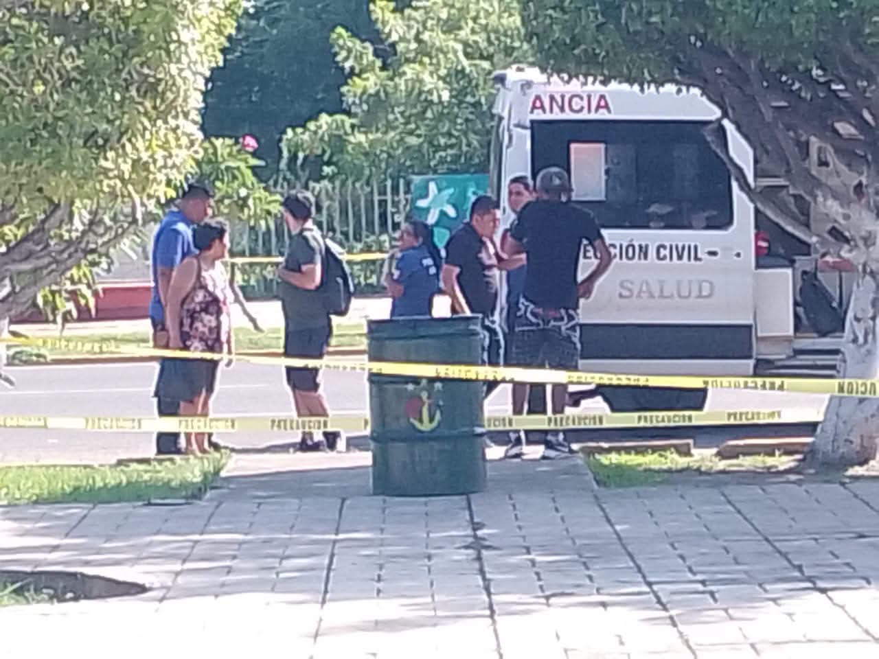 Abejas atacan a peatones en la zona Centro de Lázaro Cárdenas