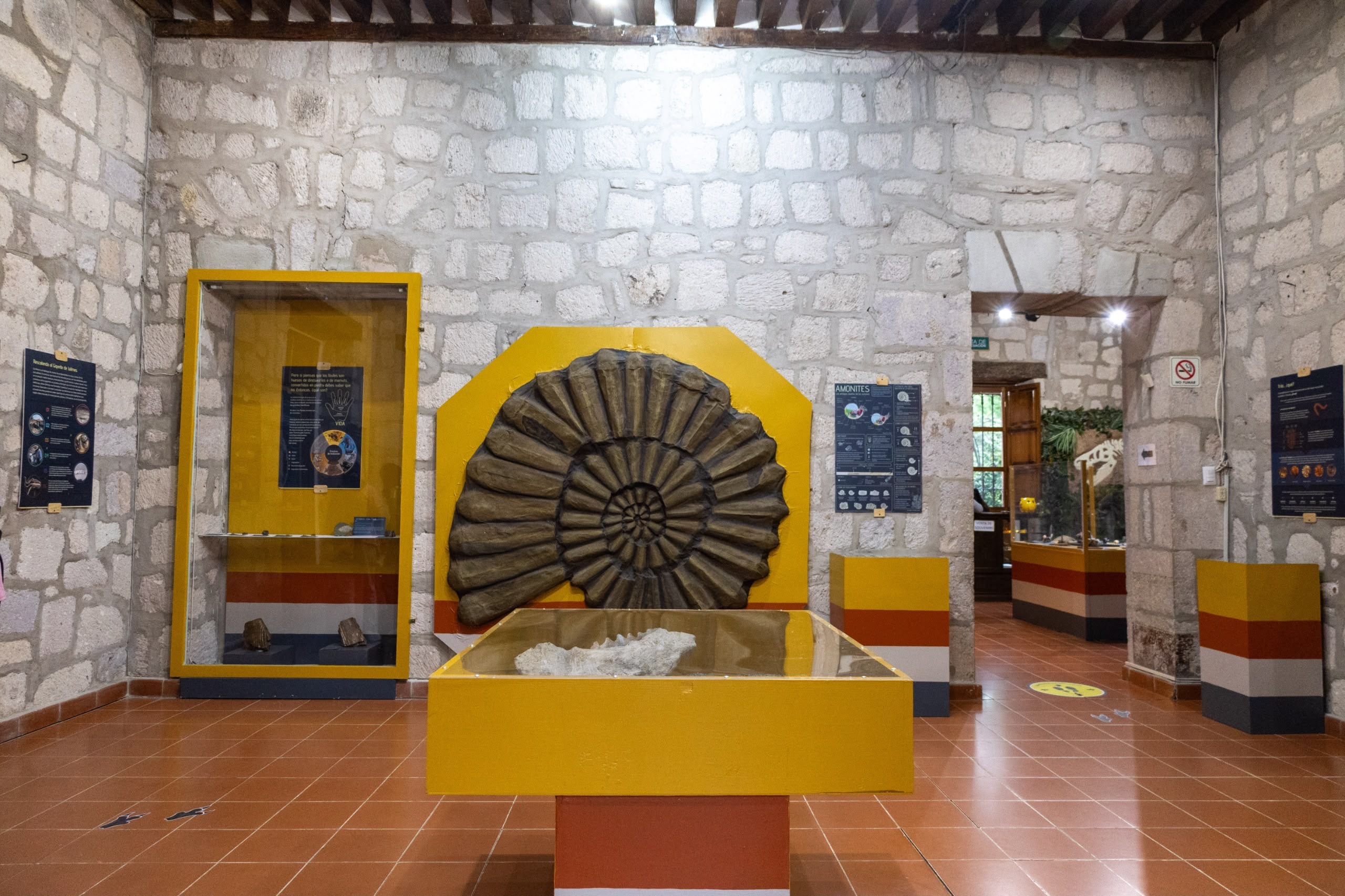 UMSNH Y SECRETARÍA DE CULTURA FEDERAL EN ESTRECHA COLABORACIÓN; PROMUEVEN EL PATRIMONIO PALEONTOLÓGICO