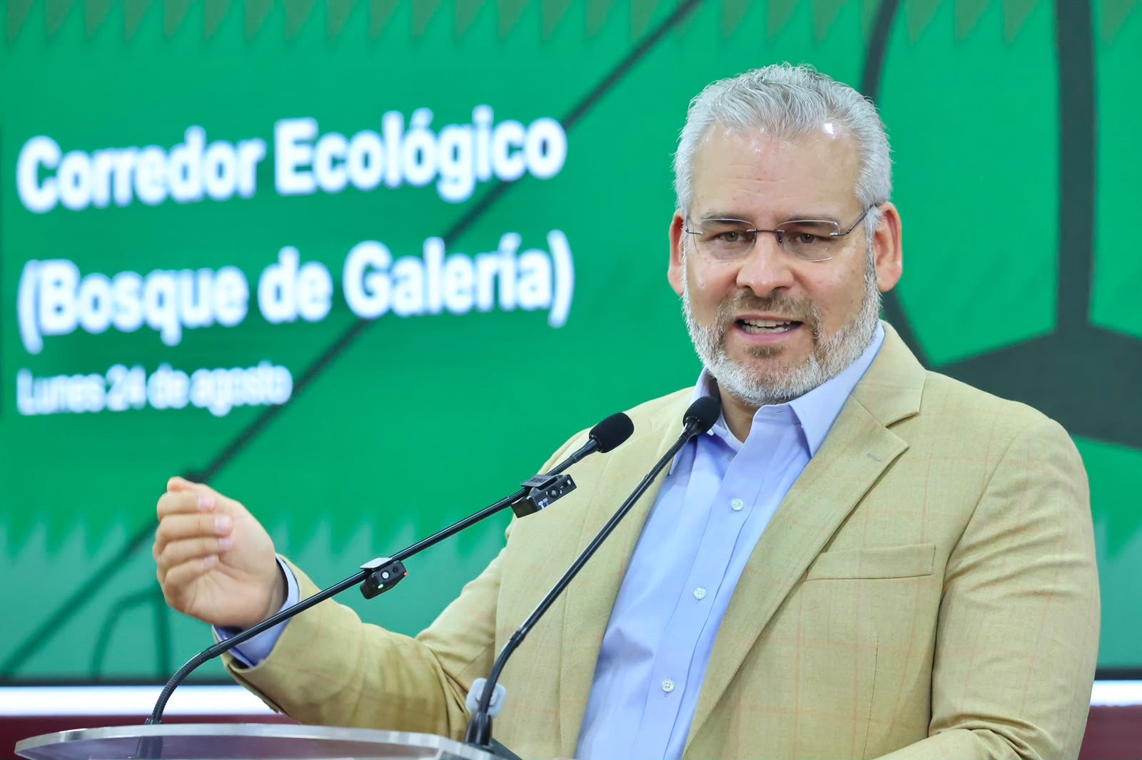 Arbolado de Tres Puentes se conserva; solo 27 ejemplares serán trasplantados: Bedolla