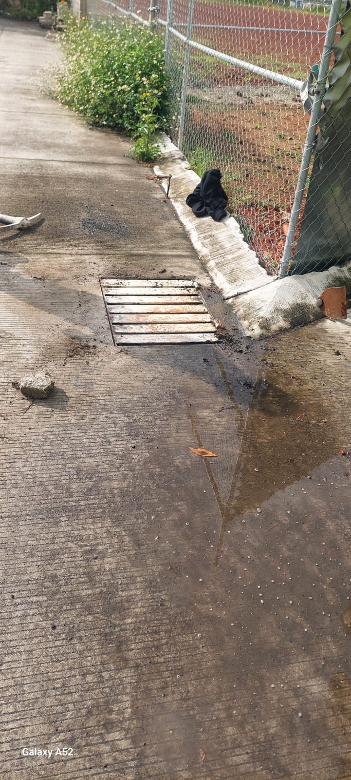 Protección Civil y Bomberos Morelia rescata a nueve patitos de una alcantarilla